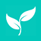 Herbal Medicines